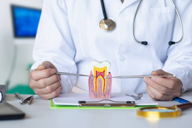 Best Emergency Denture Repair in Paris, TN